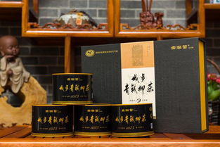 青柳源·青錢柳產品亮相第二屆湖湘文化藝術交流周 以茶為媒，傳承湖湘文化新篇章